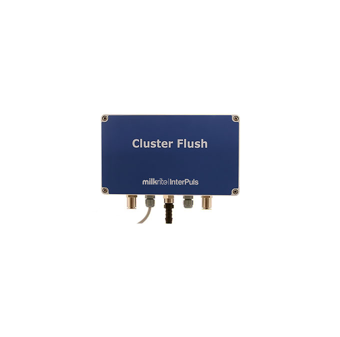 Cluster-Flush